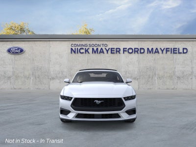 2026 Ford Mustang EcoBoost® Premium Convertible