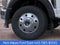 2026 Ford F-600SD XLT