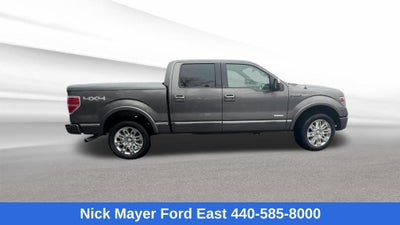 2013 Ford F-150 Platinum