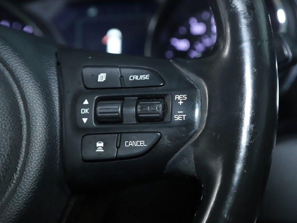 2017 Kia Sedona SX